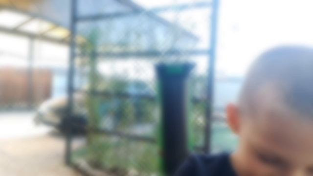 набираем морду груше смотреть онлайн