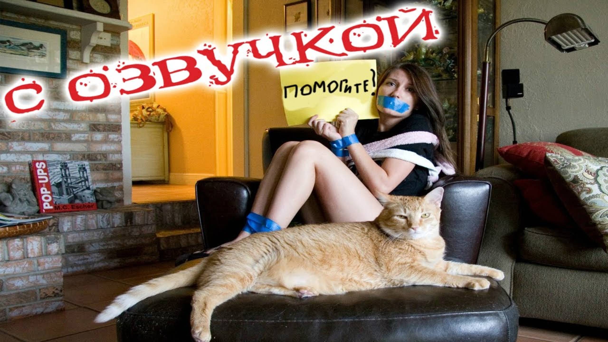 Приколы с котами! Самая смешная озвучка животных 2025