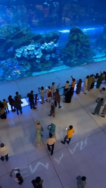 Aquatic video dubai walking amazingdubai viraldance walkingtour insidedubai youtubeshort my