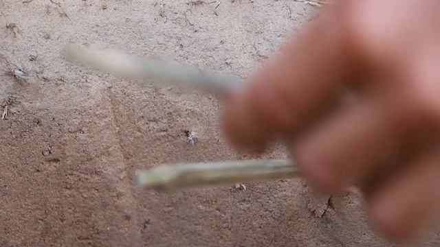 Easy Monkey Trap Technology Make From Deep Hole Trap With Orange Fruit - Simple Monkey Trap смотреть онлайн