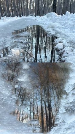 Весна Уфа, лес 25-03-2025