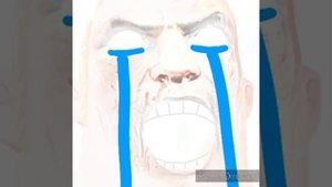 Mr. Incredible Becoming Canny Scary But It's Unscary Part 1 (19 Phases) (Free To Add Music)