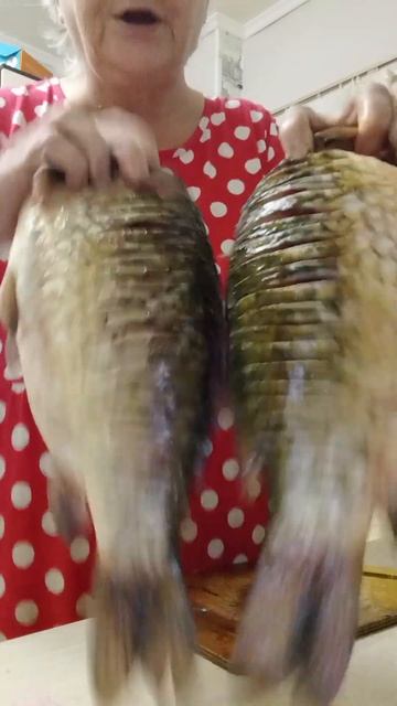 29 сентября 2023 г. смотреть онлайн