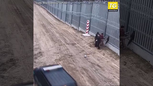 Польская погранслужба опубликовала неудачную попытку проникновения нелегальных мигрантов 