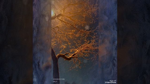 25.03.2025, Находка ❄️🌲❄️