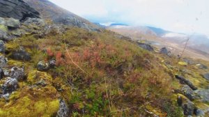 Хибины сент 2023