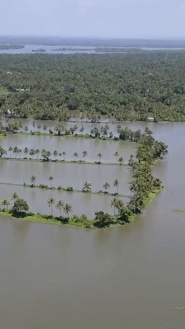 Kakkathuruthu #Shorts смотреть онлайн