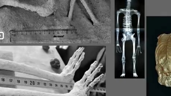 О странных находка совета WAC в Перу. смотреть онлайн