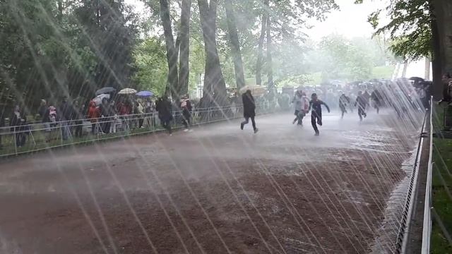 Яльчики в Петергофе смотреть онлайн