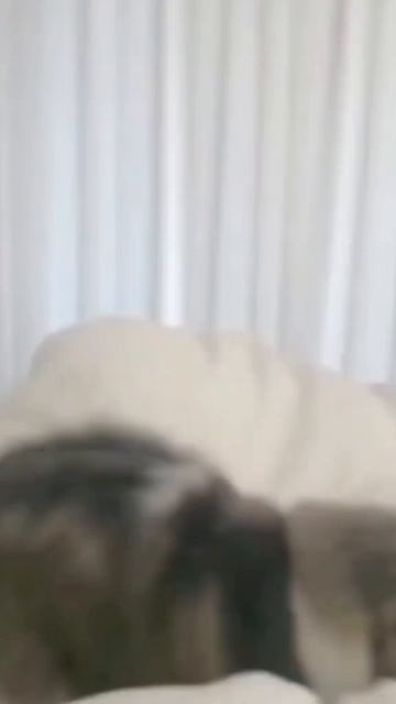 scene_output.mp4