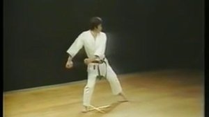 Heian Nidan - Shotokan Karate