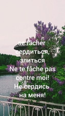 Не сердись и давайте прогуляемся, местоименные глаголы в повелительном наклонении во французском