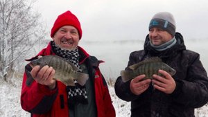 Моя рыбалка. Рыбы-пришельцы озера Удомля