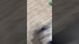 Тачки 1 мультфильм (2006)