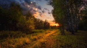 давайте по честному, в комментарии