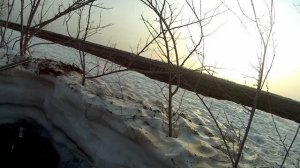 Охота на гуся 2021. Охота прошлых лет. Первый выезд. Тысячи гусей