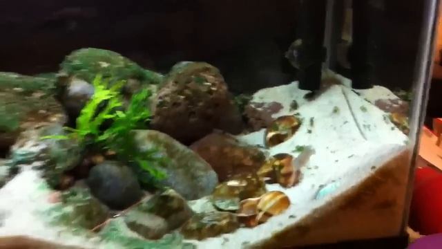 Big Update! смотреть онлайн