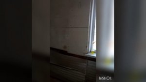 video_2025-03-25_11-20-02