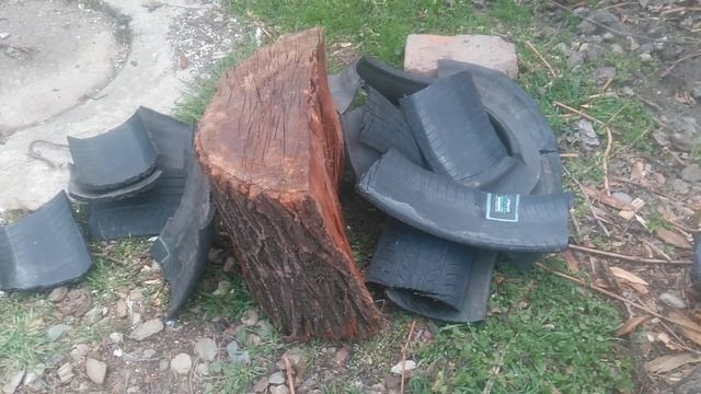 VID_20250323_180415