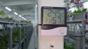 Обзор поставки растений из предзаказного альбома на апрель 2025 года. Часть первая.