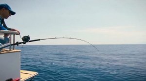 SHIMANO Electric Fishing Reel PLAYS 4000 / MaguroProShop