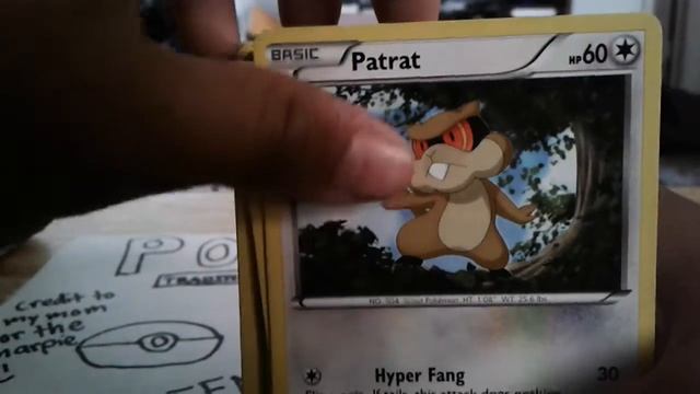 Opening a super professional ultra pro deck box filled with pokemon cards part 2 смотреть онлайн