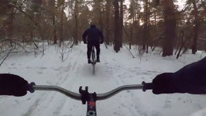 FIXED GEAR winter узкие тропы в лесу