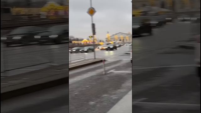 Один день из жизни корги: отель 5 звёзд и красная дорожка смотреть онлайн