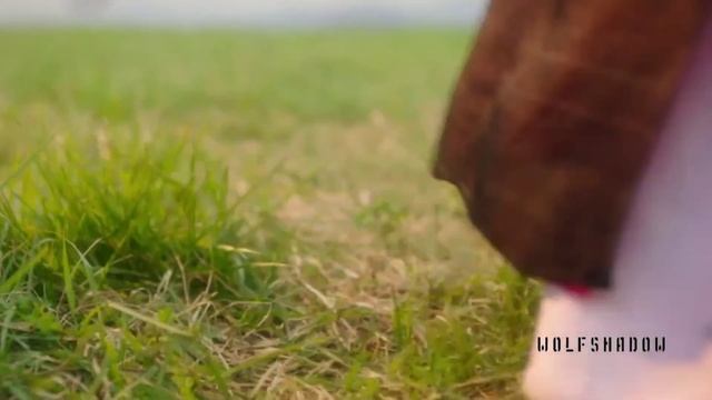 Братья. Второй фан-клип к дораме Сказание о Кумихо