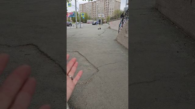 Зачем всё-таки нужны эти столбики?