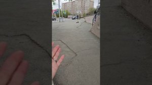 Зачем всё-таки нужны эти столбики?