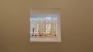 A Perfect Day Out In Syndey