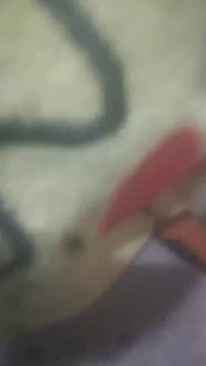 Какая милота