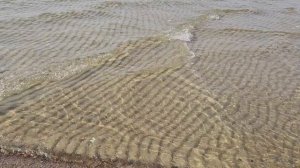 Море шумит тихонько  у самого берега
