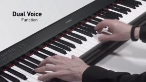 Magazin "Gramofon". Yamaha NP-12 DEMO.