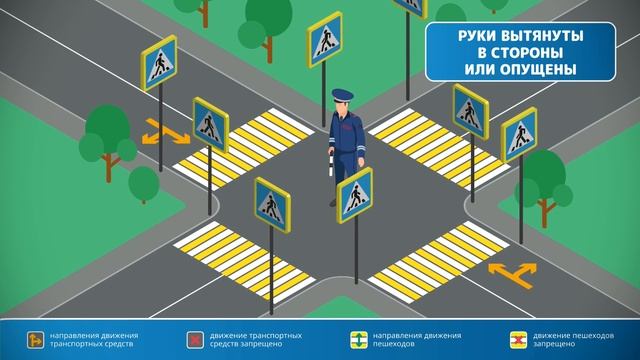 Видеоролик 
