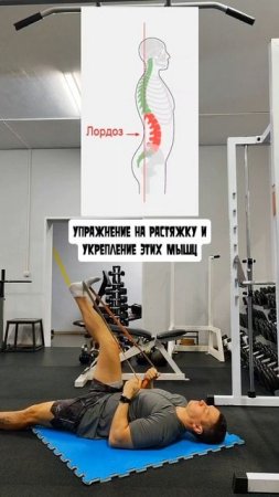 Растяжка подколенных мышц 👍