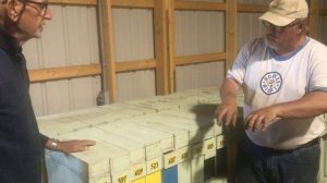 Двухрамочные отводки на пасеке у Ганса (Фил Фелдхус, Канада)