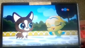 Маленький зоомагазин тайный мир питомцев 2 серия