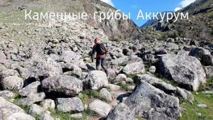 Алтай.  Чулышман/Аккурум/Кату-Ярык
BMW F 850 GS