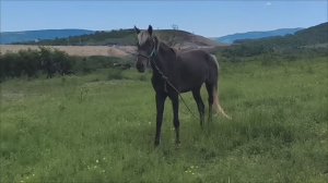 Я люблю тебя