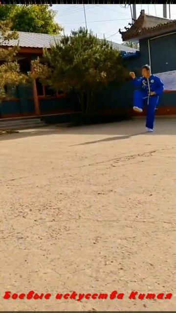 Динсин, провинция Хэбэй, является родным городом трех мастеров семьи Синъи Ли.
