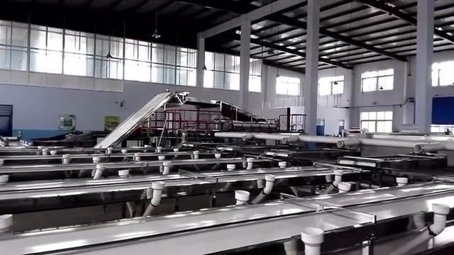 Видео сортировочная линия