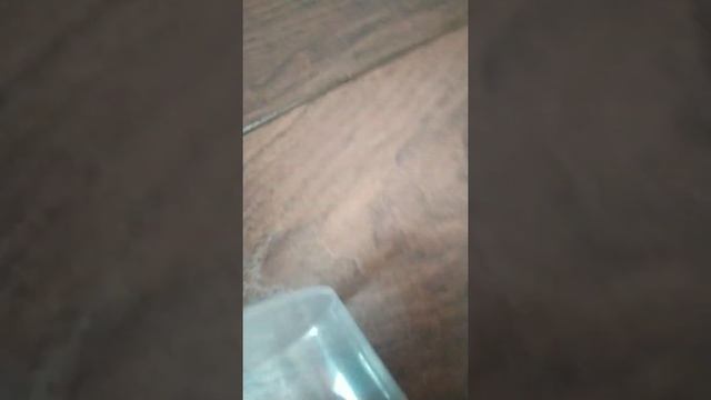 Скучный день медведя Вадима смотреть онлайн