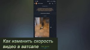 Как изменить скорость видео в ватсапе