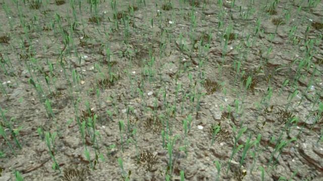 Tiền hậu song pha - nhà nhà sạch cỏ cùng Chesaco + Satunil смотреть онлайн