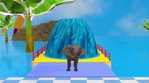 Paint Animals Gorilla,Hippo,Tiger,Lion,Elephant Fountain Crossing Transformation Animal Cartoon