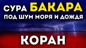 Сура Аль Бакара. Коран + звук дождя и моря. Успокаивает душу.