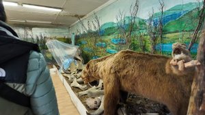 Поездка на Крайний Север. 1 часть.