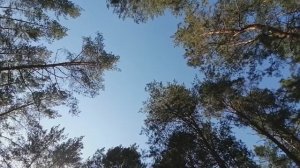 Моя первая мото-ночёвка